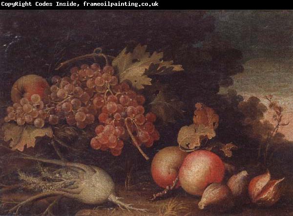 unknow artist Still lifes of Grapes,figs,apples,pears,pomegranates,black currants and fennel,within a landscape setting